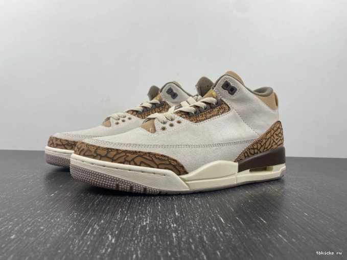 Reps TB Jordan 3 CT8532-102 Air Palomino 0724